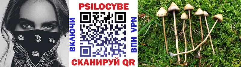 Галлюциногенные грибы GOLDEN TEACHER  где купить наркотик  Спасск 